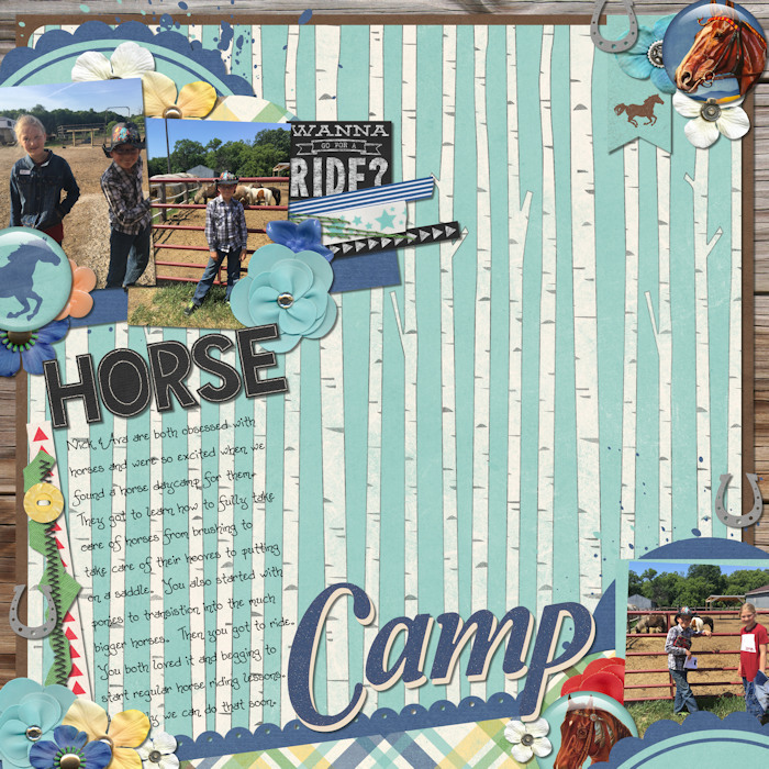 Horse Camp