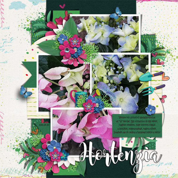 Hortensia