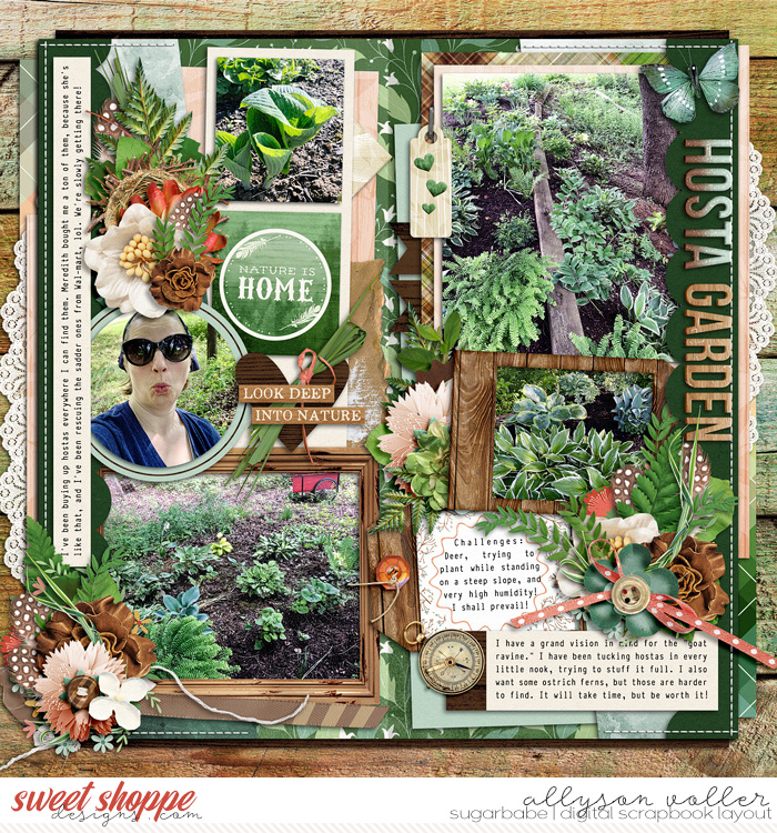Hosta Garden