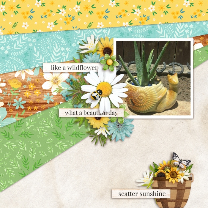 House plant
