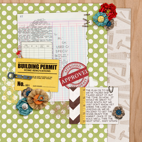 House Reno book cover