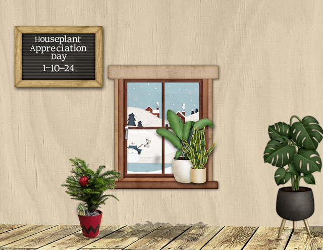 Houseplant Appreciation Day