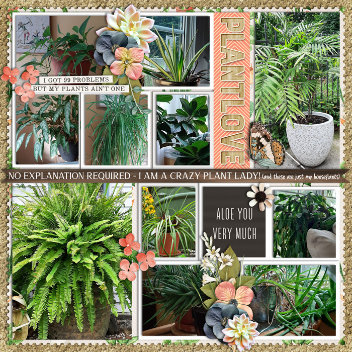 houseplants