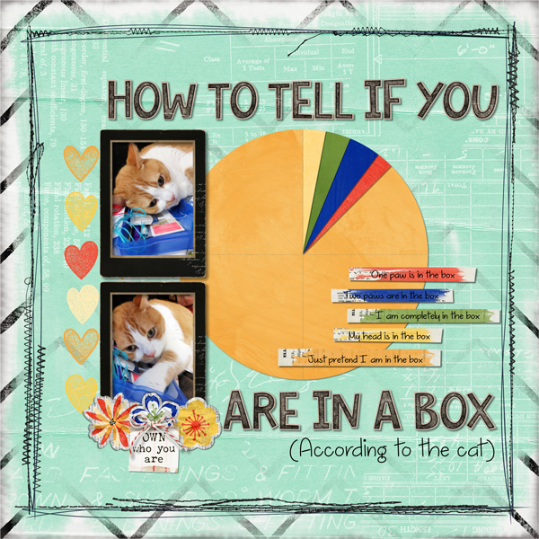 How to tell if you are in a Box