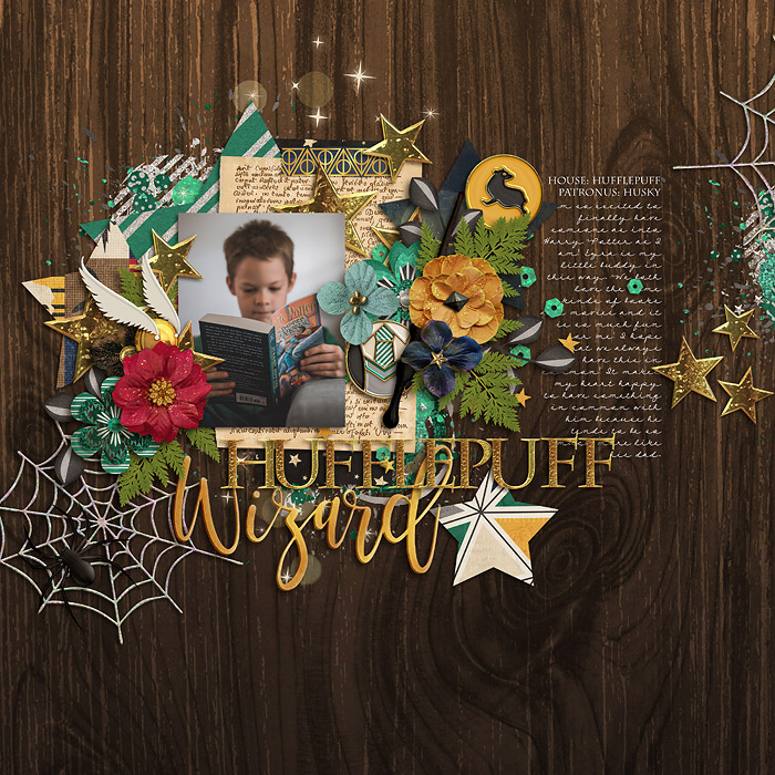 Hufflepuff Wizard