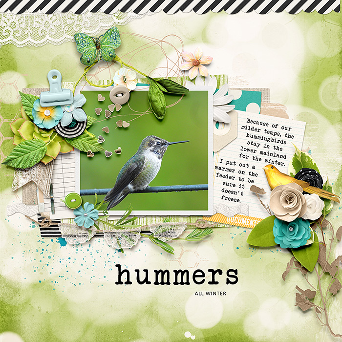 Hummers All Winter