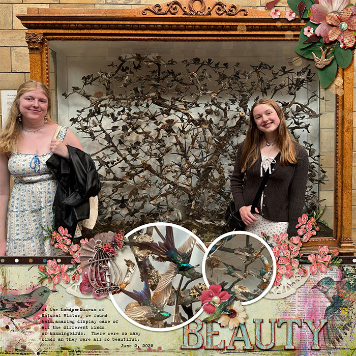 Hummingbird Display