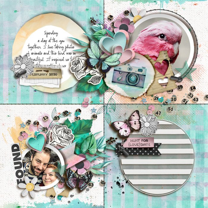 Hunt For {Love}Birds