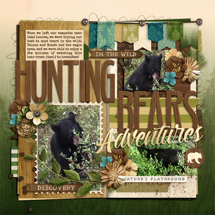 Hunting Bears
