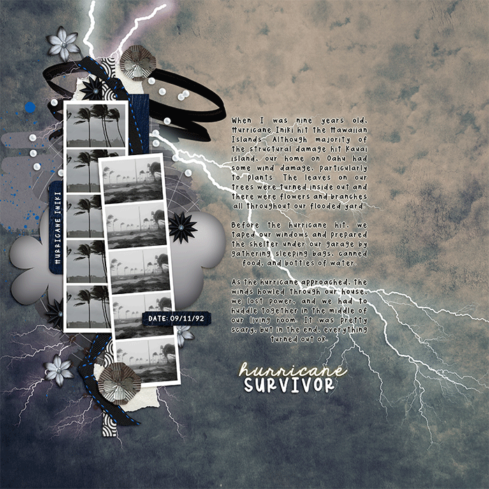 Hurricane Survivor