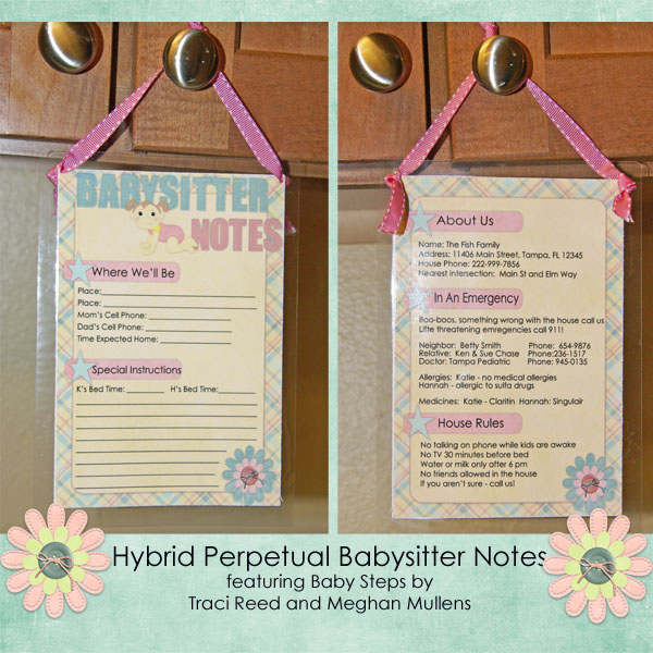 Hybrid Babysitter Notes