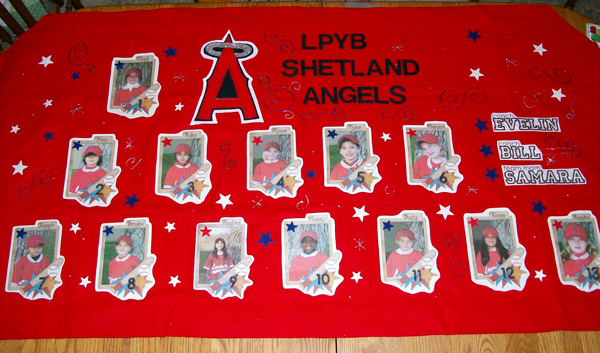 {Hybrid} Baseball Banner (Angels)