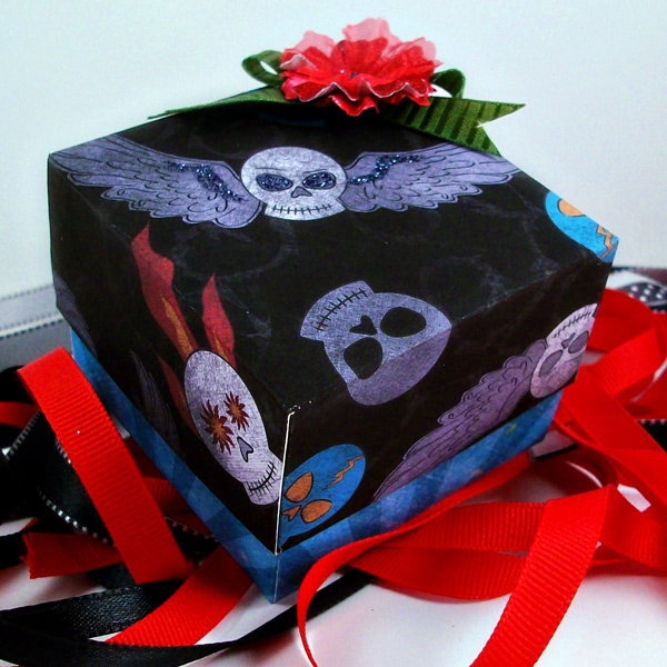 {Hybrid} Box