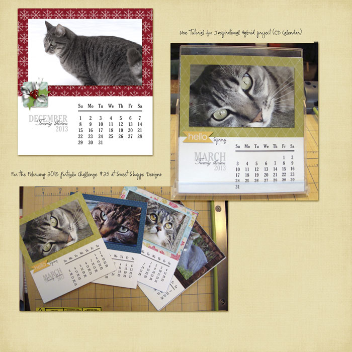 Hybrid CD case Calendar 2013