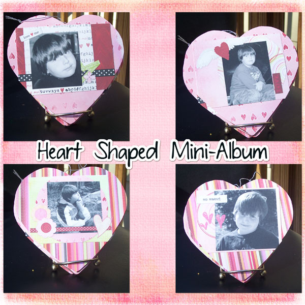 Hybrid Heart Shaped Mini-Album