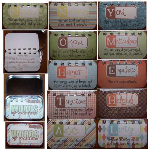 Hybrid mint tin album