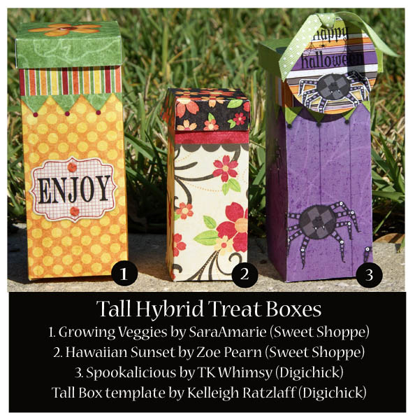 Hybrid Tall Treat Boxes