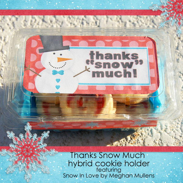 Hybrid Thanks Snow Much Box