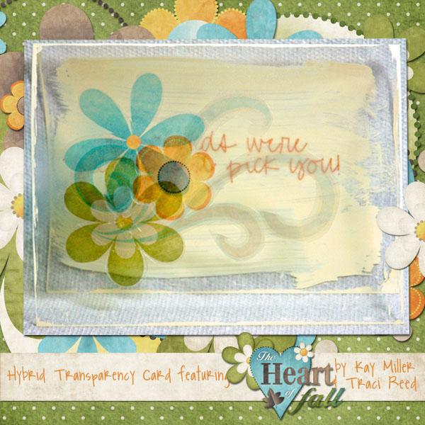 Hybrid Transparent  Card