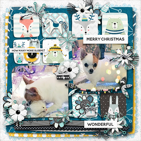 Hygge challenge - Cozy