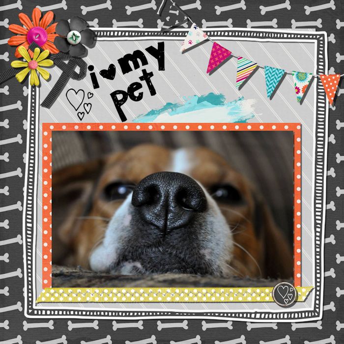 I <3 my Pet