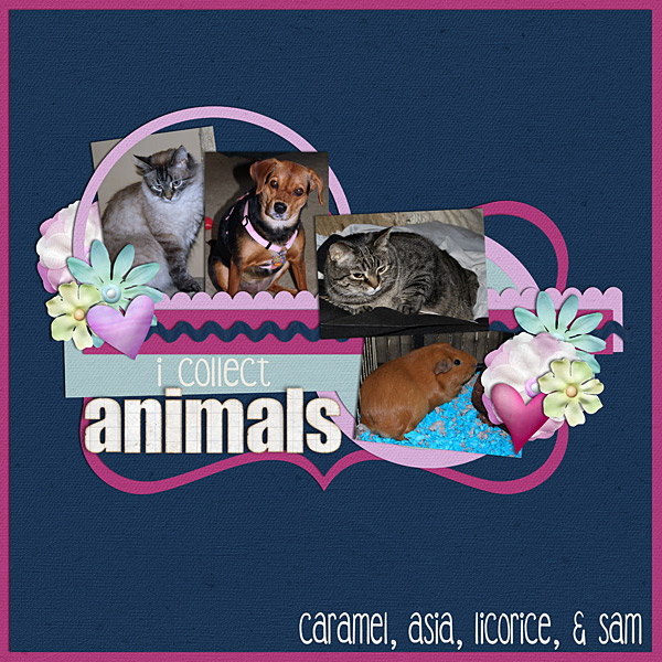 I Collect Animals