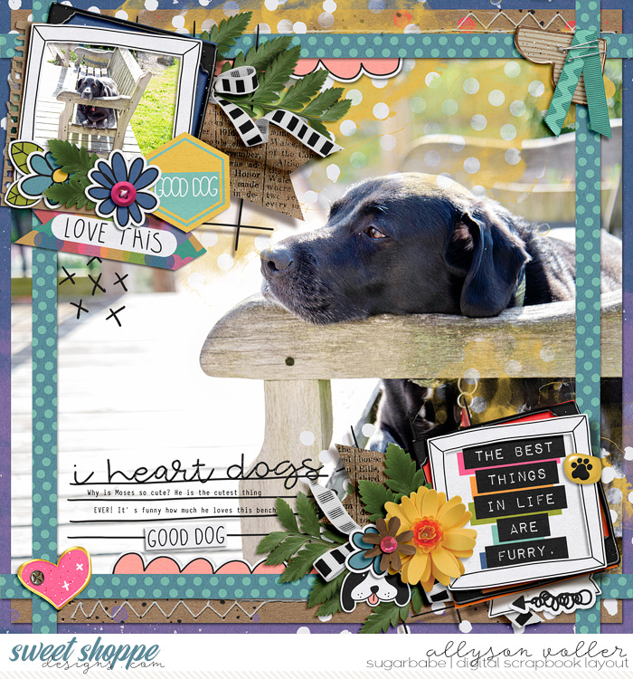 i heart dogs