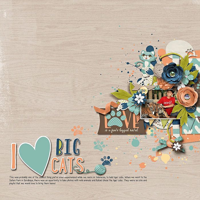 i love big cats