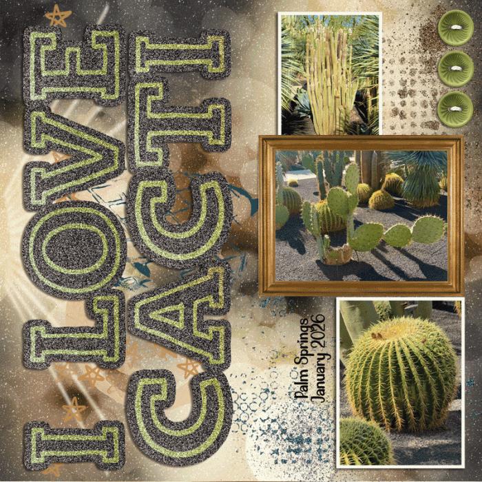 I Love Cacti