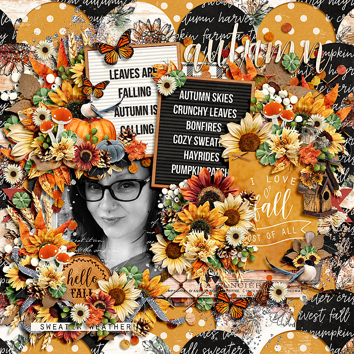 I Love Fall Most Of All