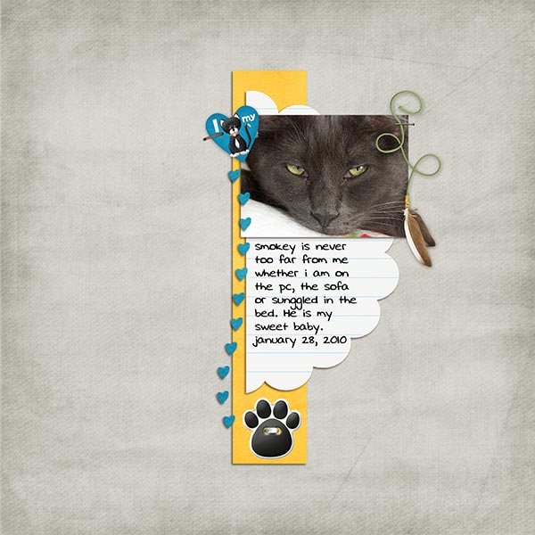 I Love My Cat