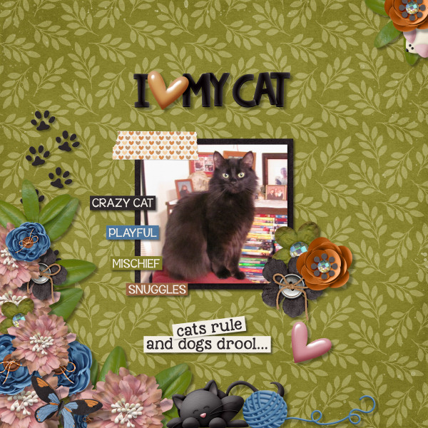 I Love My Cat