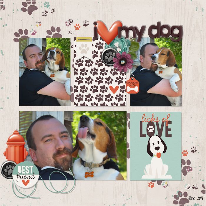 I love my dog