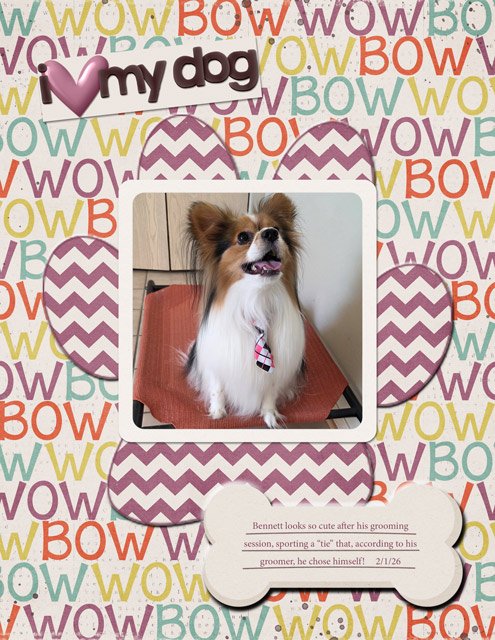 I Love My Dog