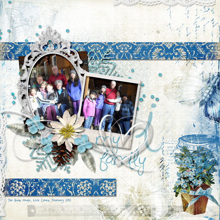 I love my family