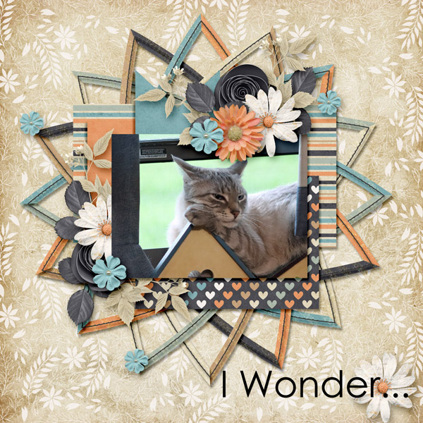 I wonder...