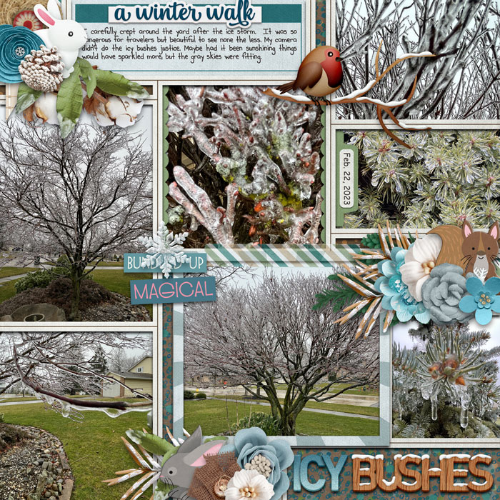 Icy Bushes