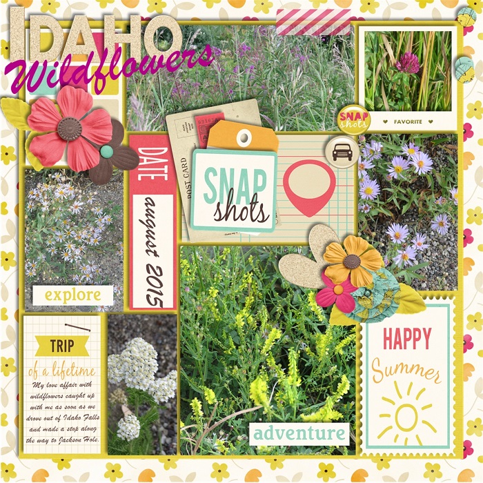 Idaho Wildflowers