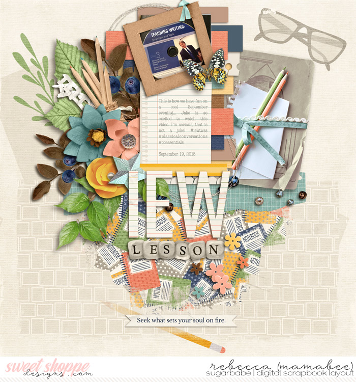 IEW Lesson