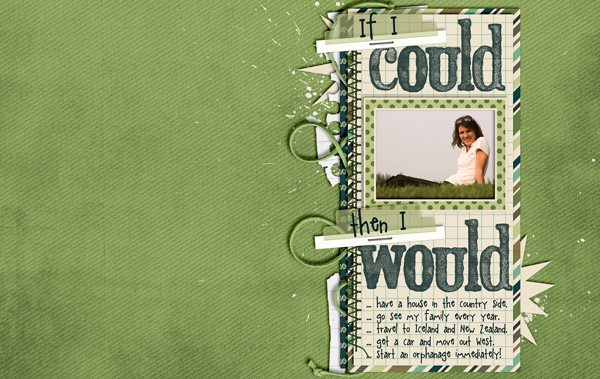 If I Could I Would