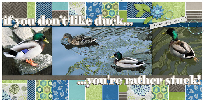 If you don't like duck...