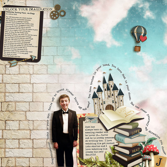 Imagination