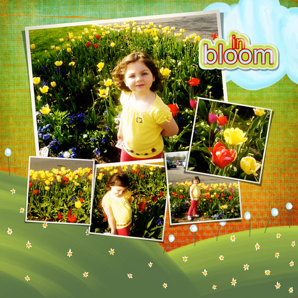 In Bloom