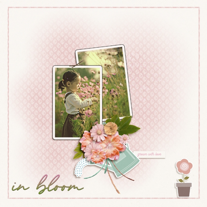 In Bloom