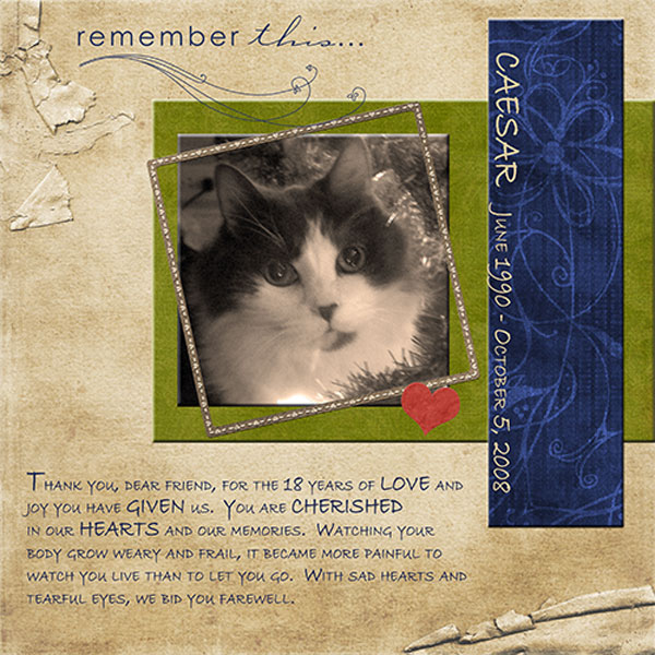 In memory of Caesar