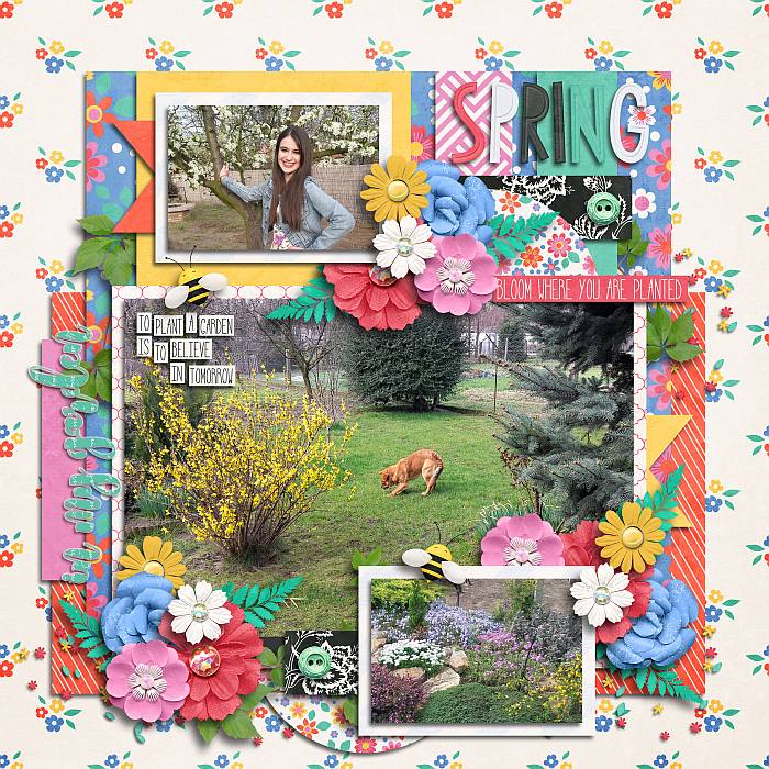 In my flower garden