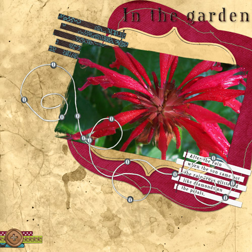 In the Garden
