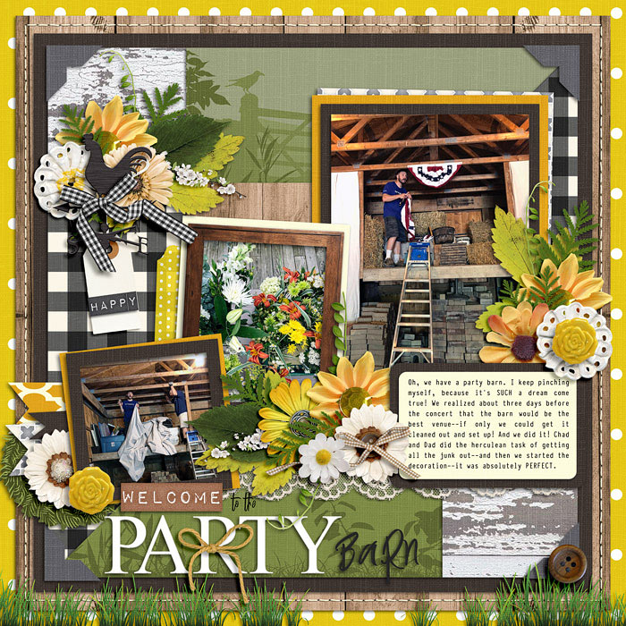In the Party Barn