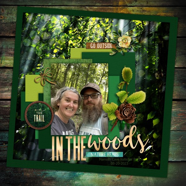 In The Woods