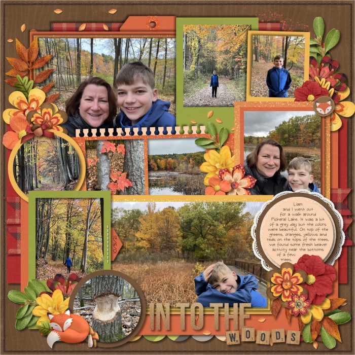 In to the woods
